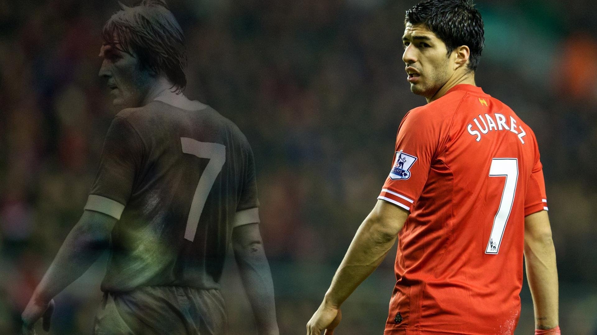 自由泳中程瑞士节奏明快，自由泳竞技