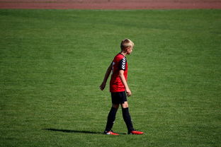 爱游戏体育app-勇士训练时长延长球员投入度高，勇士训练短袖